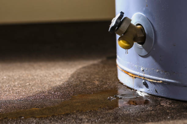 Best 24-hour water damage restoration  in Mcfarland, WI