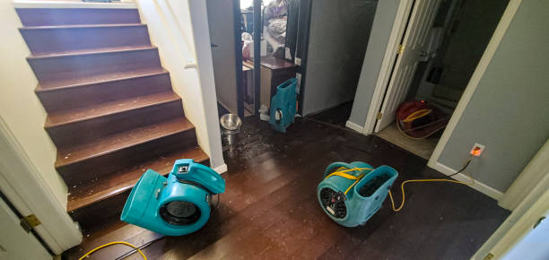 Best Carpet water damage restoration  in Mcfarland, WI