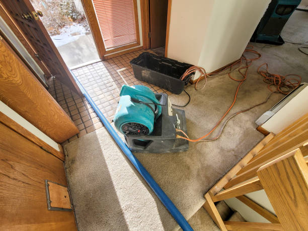 Best Local water damage restoration  in Mcfarland, WI