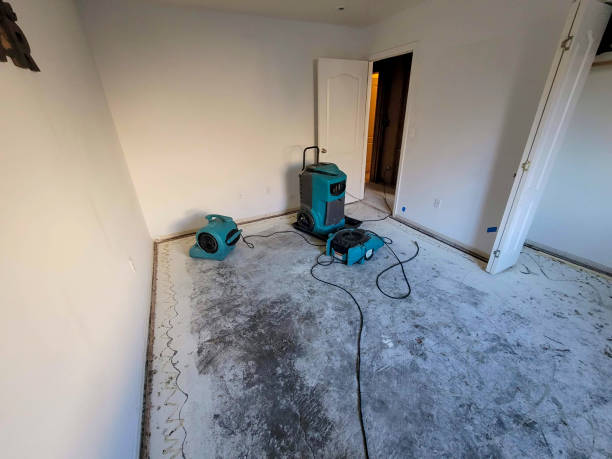  Mcfarland, WI Water damage restoration Pros