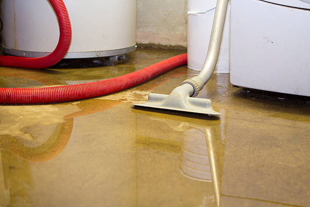 Water damage restoration experts in WI