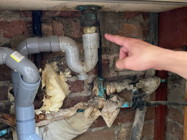 Best Flooded house restoration  in Mcfarland, WI
